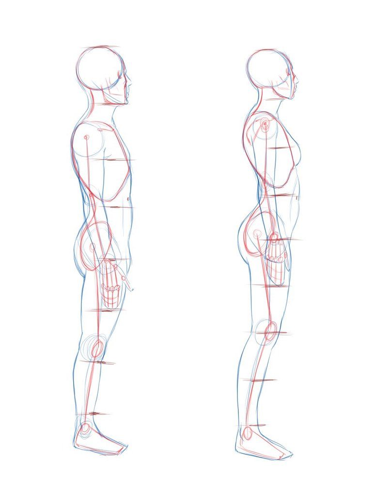 Featured image of post How To Draw Side Profile Body