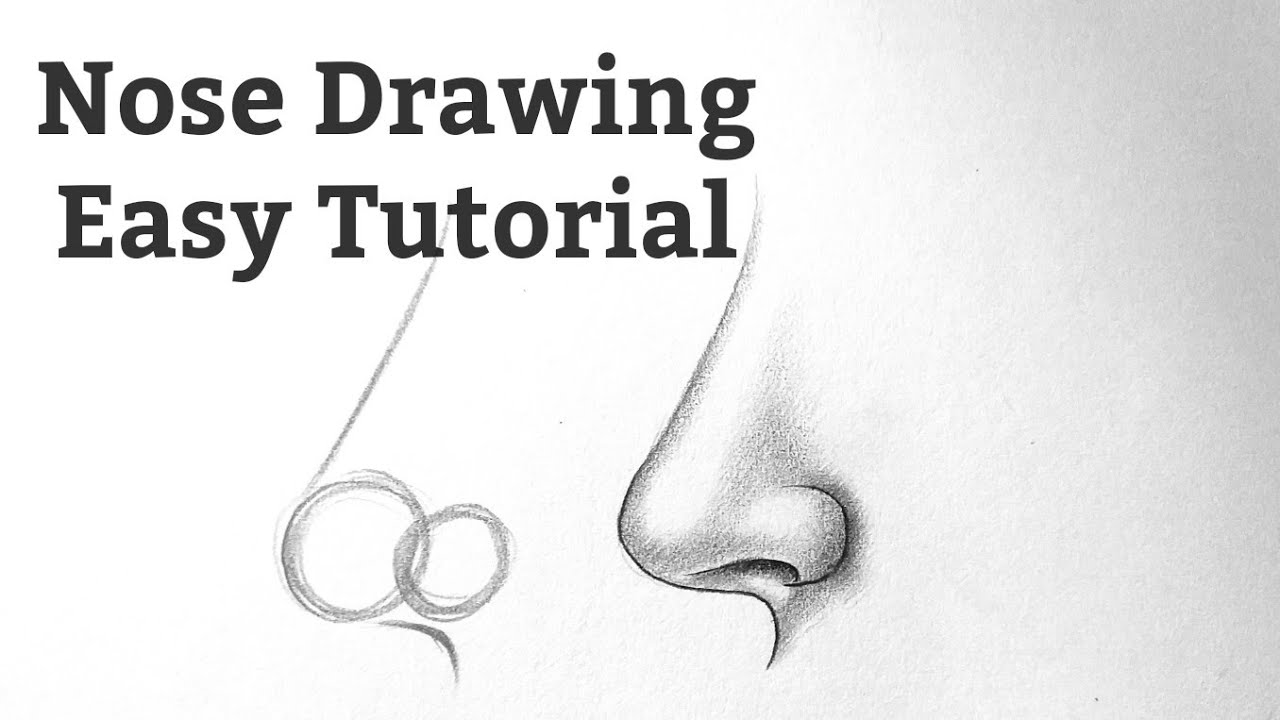 Featured image of post How To Draw Side Profile Nose